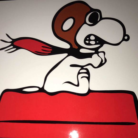 Meet your Posher, Lisa - Picture 1 of 1